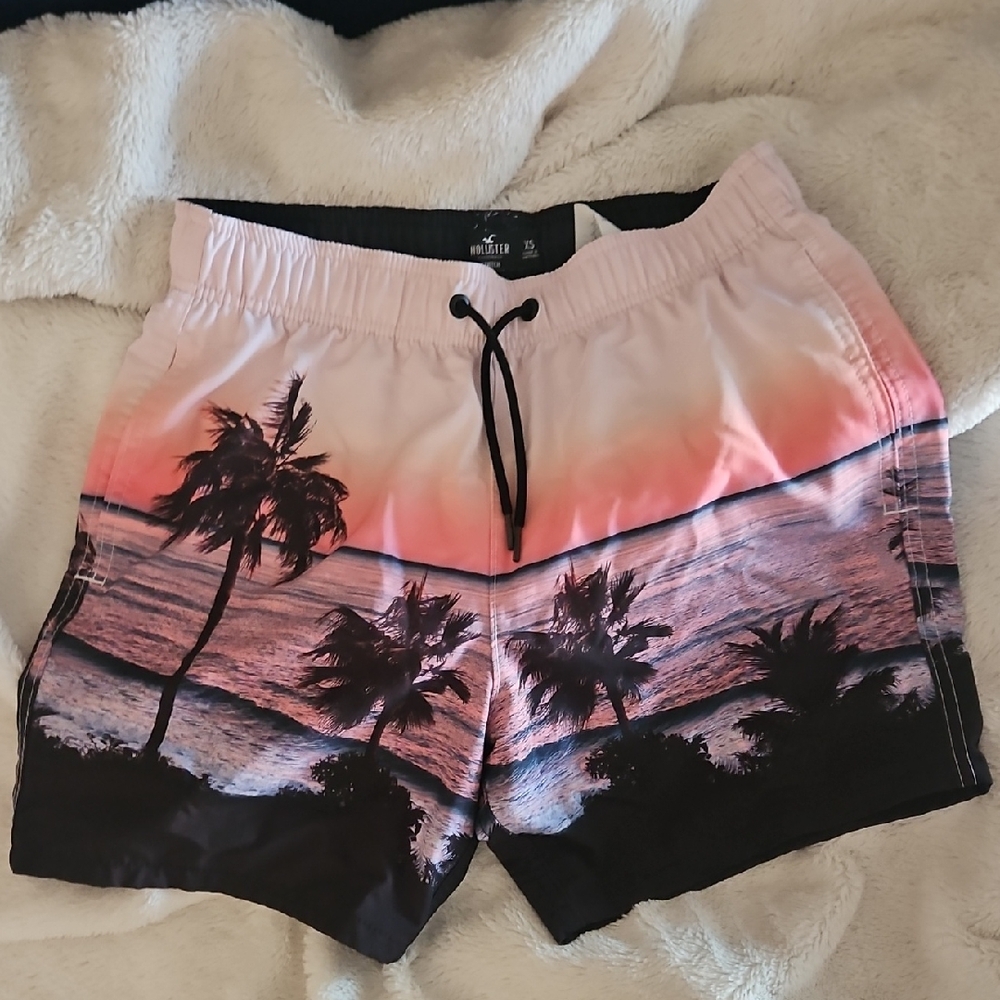 Hollister Swim Trunks